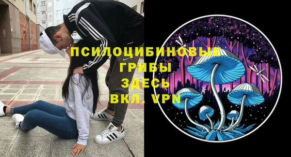 ГАЛЛЮЦИНОГЕННЫЕ ГРИБЫ Абаза
