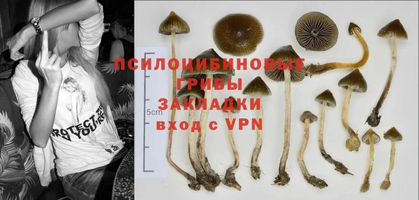 ГАЛЛЮЦИНОГЕННЫЕ ГРИБЫ Абаза