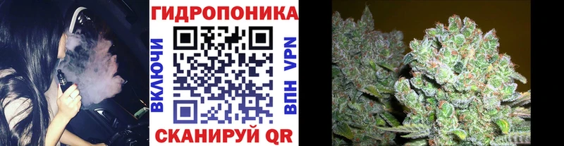 Канабис Bruce Banner  KRAKEN ONION  Хилок 